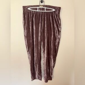 Women’s Anthropologie Tina Jo Velvet Feel Pants Size Medium